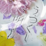うつくし明朝体｜柔らかさとレトロな味わいを併せ持つ明朝体フリーフォント